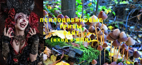 бутират Аркадак